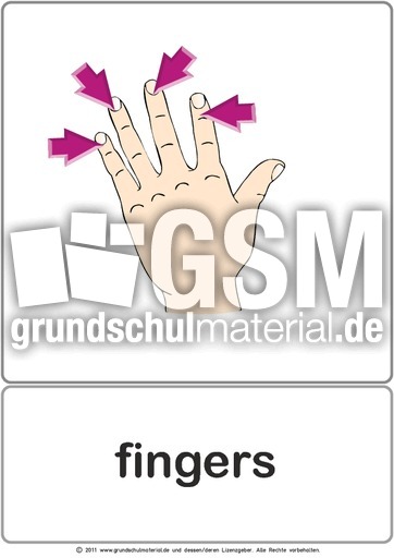 Bildkarte - fingers.pdf